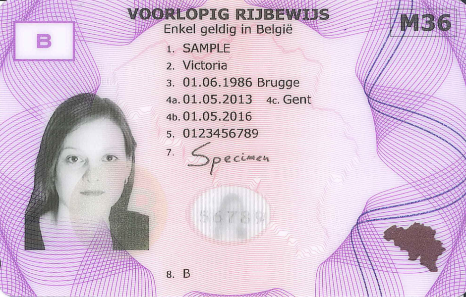 l voorlopig rijbewijs waar kopen